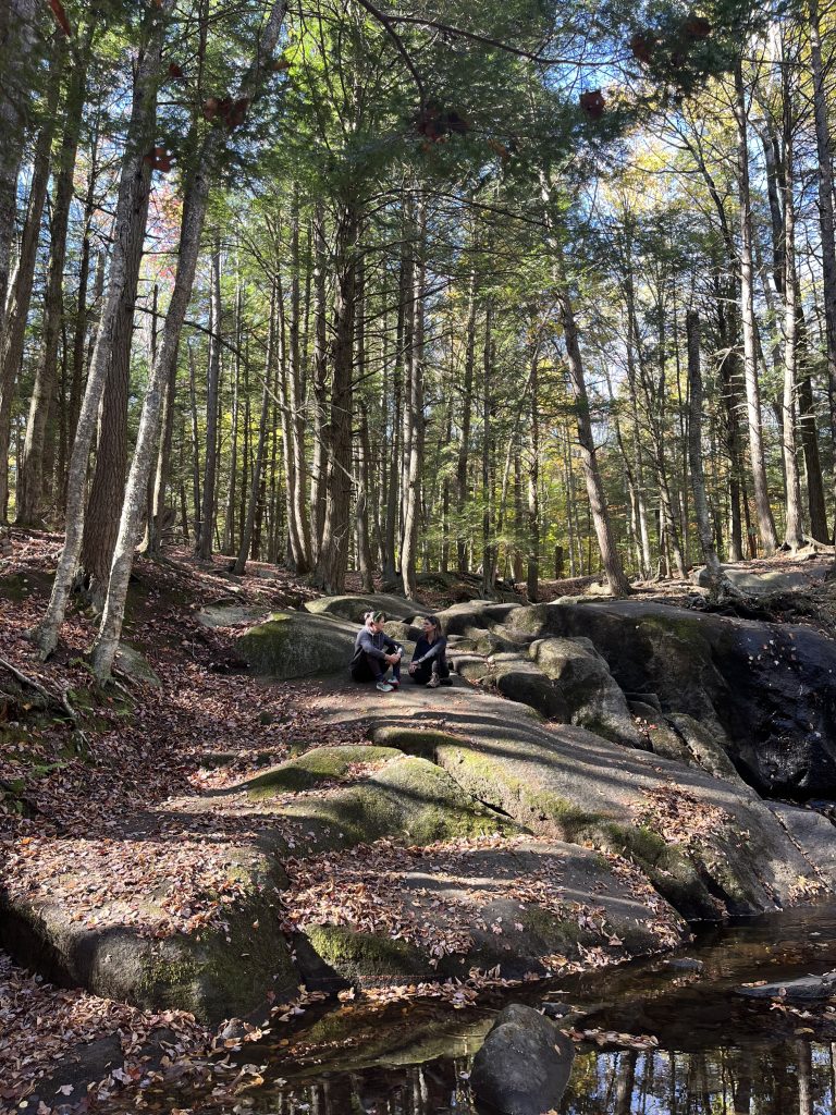 propos qui suis je propos qui suis je